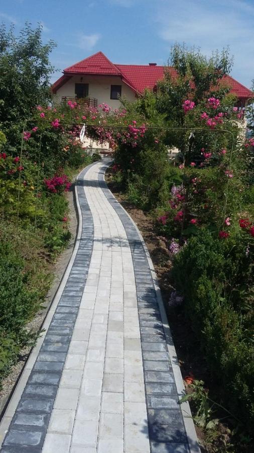 Agropensiunea Florina-Maria Branistea  Bagian luar foto