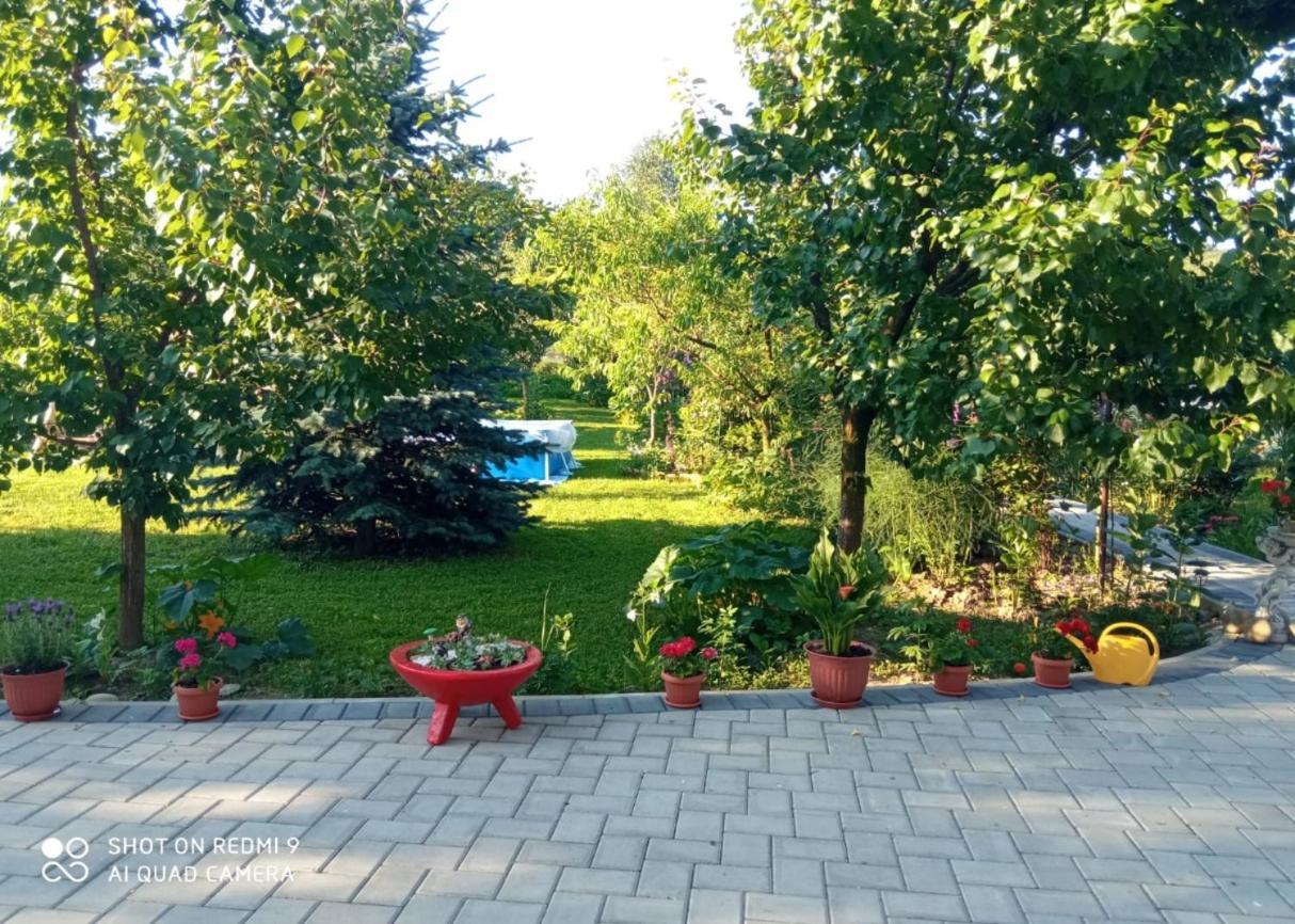 Agropensiunea Florina-Maria Branistea  Bagian luar foto