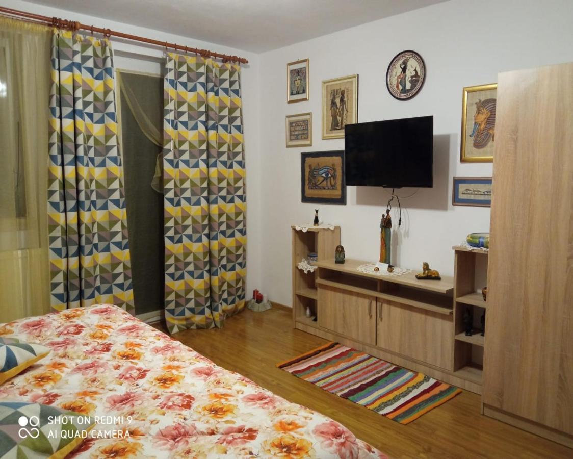 Agropensiunea Florina-Maria Branistea  Bagian luar foto
