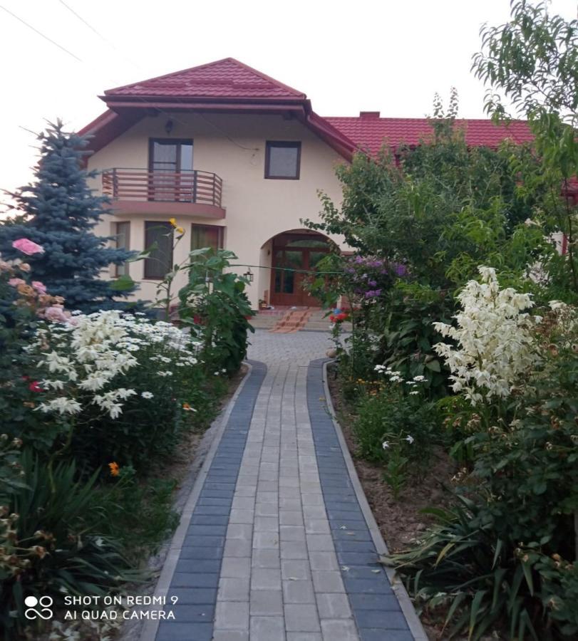 Agropensiunea Florina-Maria Branistea  Bagian luar foto