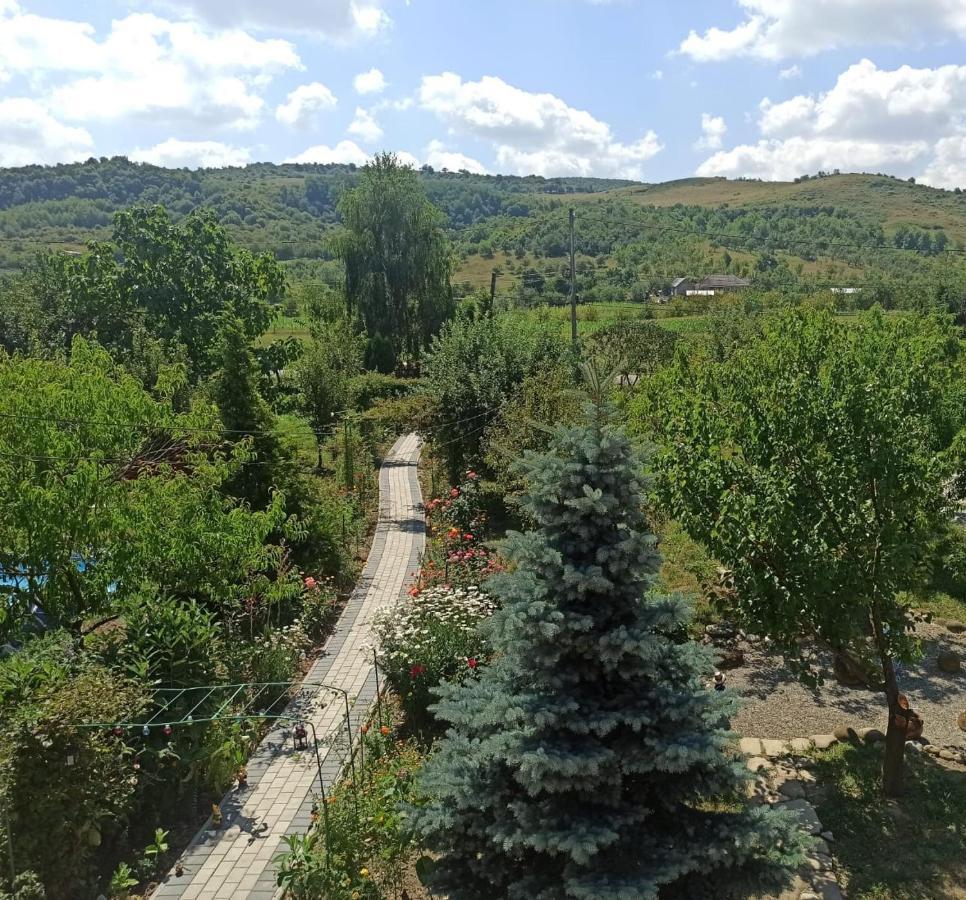 Agropensiunea Florina-Maria Branistea  Bagian luar foto
