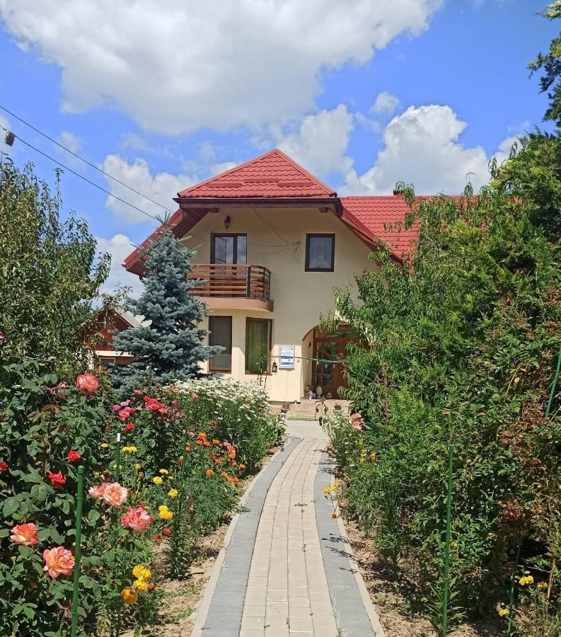 Agropensiunea Florina-Maria Branistea  Bagian luar foto