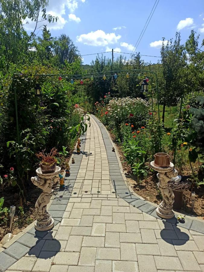 Agropensiunea Florina-Maria Branistea  Bagian luar foto